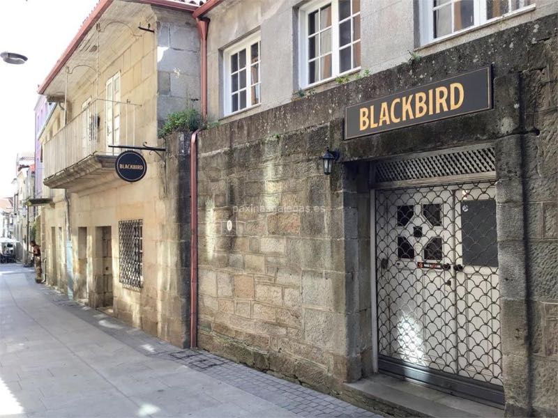 Cervecería Blackbird